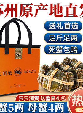 【活蟹】苏州阳澄蟹礼大闸蟹现货鲜活大螃蟹公蟹全母蟹旗舰礼盒装