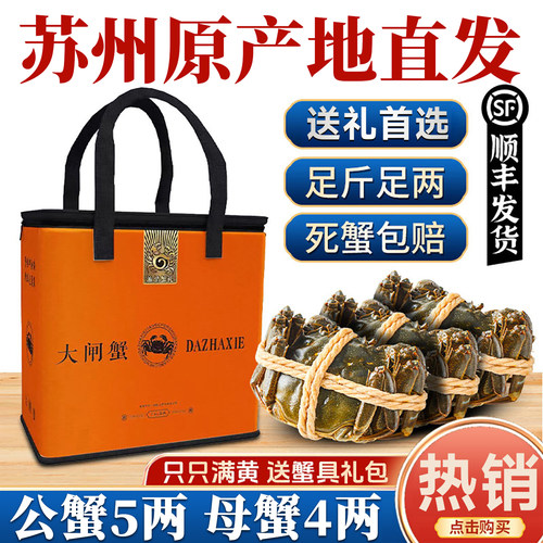 活蟹苏州阳澄蟹礼大闸蟹鲜活特大螃蟹公蟹5.0全母蟹4.0现货礼盒装