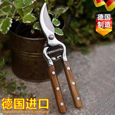 德国进口剪枝果树修枝剪刀园艺