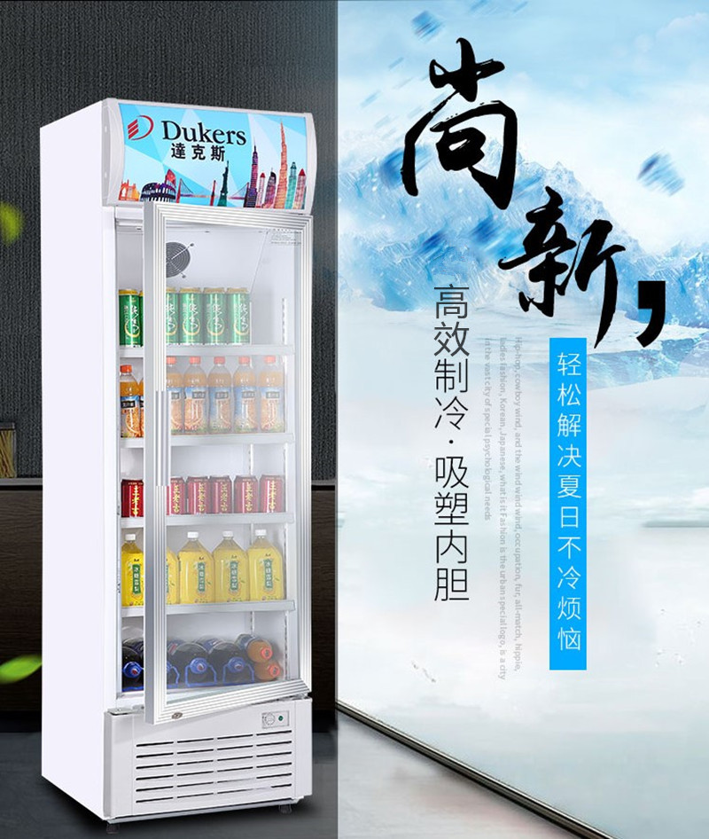 达克斯展示冰柜商用风直冷藏饮料单门冷柜展示冰柜lg220x300x350x