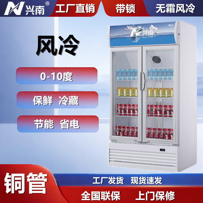 兴南铜管立式双门无霜风冷展示柜带锁陈列冰柜LG400/600/800/1000