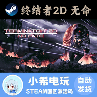 Steam 终结者2D：无命 Terminator 2D: NO FATE 正版游戏好友礼物