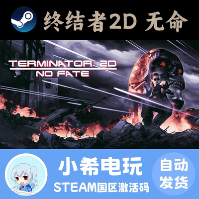 Steam终结者2D：无命好友礼物