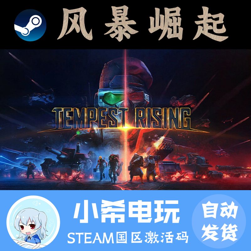 Steam风暴崛起正版国区CDKEY