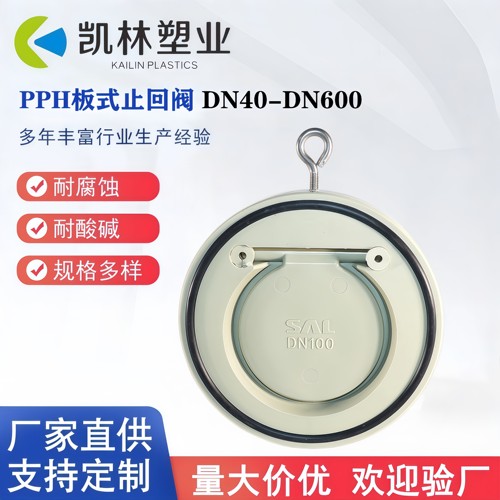 PPH板式止回阀DN40-DN600