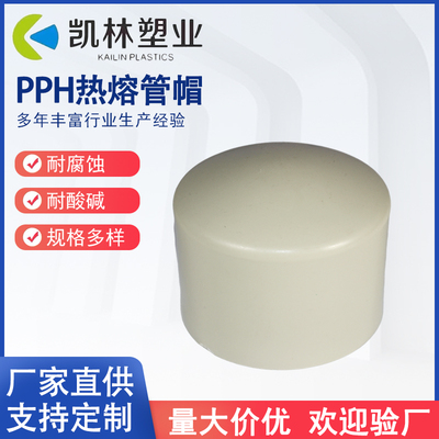 PPH热熔管帽耐酸碱耐腐蚀堵头