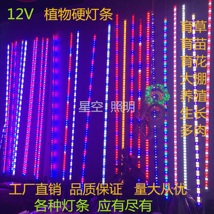 12V植物生长硬灯条led植物补光灯带多肉育草育苗丰茎增花色全光谱