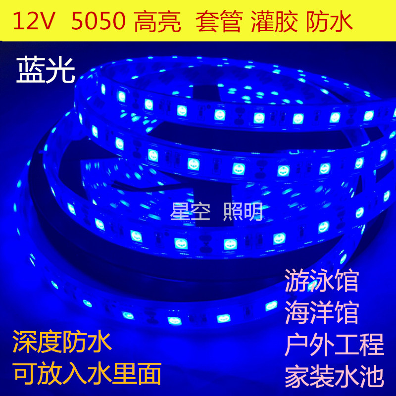 12V套管灌胶防水白蓝色LED灯带5050高亮低压水底水下户外白光照明