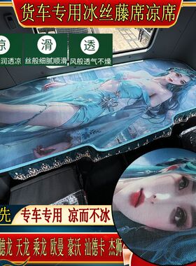 解放J6欧曼EST GTL ETX乘德天龙豪沃瀚汕德卡专用货车卧铺凉席
