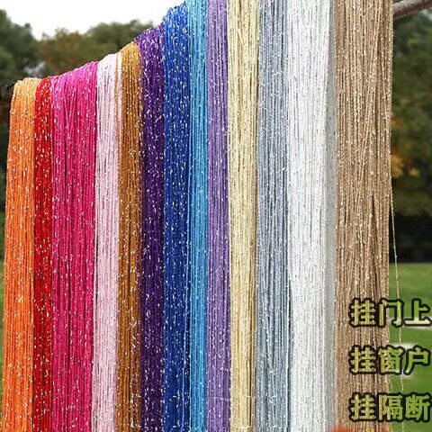 线帘夏季防蚊蝇门帘加密婚庆帘子客厅玄关挂帘装饰门帘玄关丝帘子