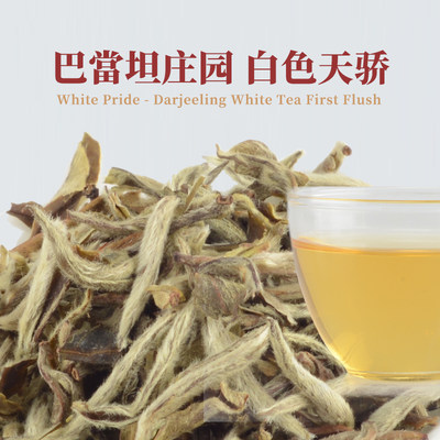 2023春摘印度巴当坦庄园 white pride大吉岭白茶特级进口茶叶25g