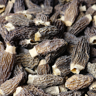 六妹羊肚菌50g 云南曲靖头茬羊鼓菌肉厚短柄干货牛肚菌汤料包