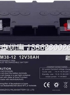 paLma八马阀控式直流屏蓄电池PM38-12 12V38AH绿色节能