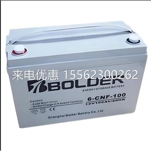 奔放BOLDER蓄电池6-FM-55 12V55AH自动化系统阀控式风电钢厂