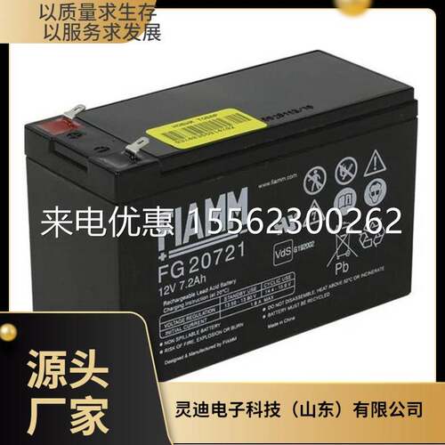 FIAMM蓄电池12FLB350 12V350W应急电源 直流屏配套