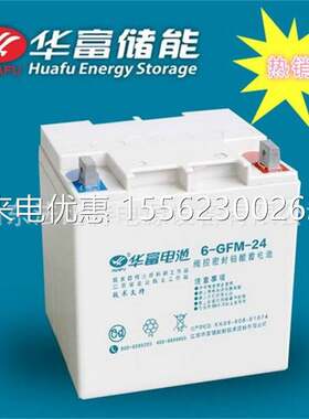 华富铅酸蓄电池6-GFM-24应急消防12V24Ah质保一年 6-GFM-24