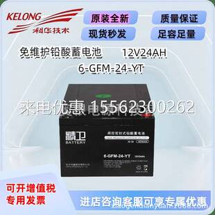 精卫蓄电池6-GFM-24-YT/38/65/100/120/150/200机房UPS储能电池