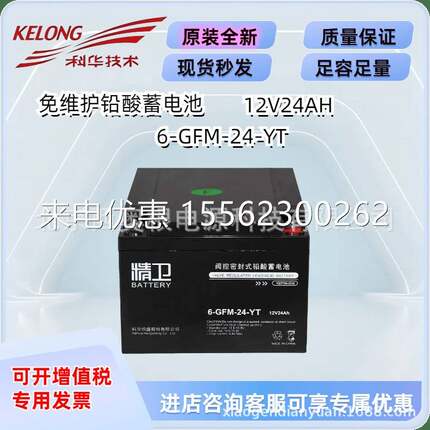 精卫蓄电池6-GFM-24-YT/38/65/100/120/150/200机房UPS储能电池