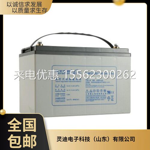 理士蓄电池DJM12100S铅酸免维护 12V100AH/UPS太阳能电瓶储能