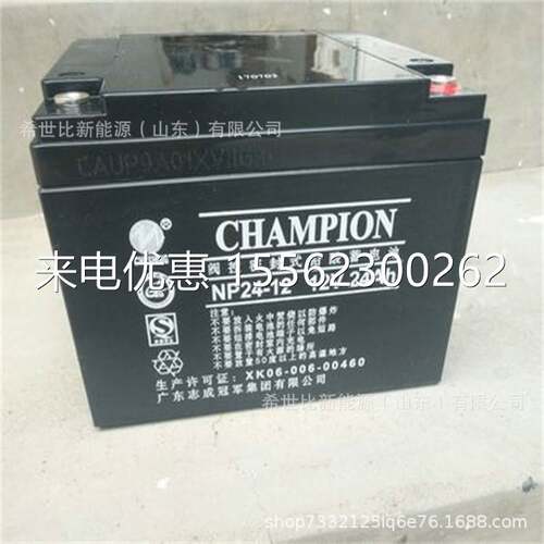 CHAMPION志成冠军蓄电池NP24-12机房通信机房12V24AH直流屏UPSEPS