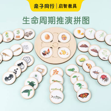 蒙氏科学教具蒙台梭利生命周期演化动物植物成长过程拼图早教玩具