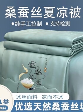 正品蚕丝被100%桑蚕丝夏凉被天丝夏被空调被单双人冰丝夏季薄被芯