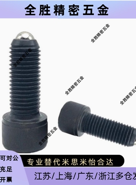 BPRL4/5/6/8/10/12-10/15/20/25/30/40/50弹簧顶丝 ZAK01球头柱塞