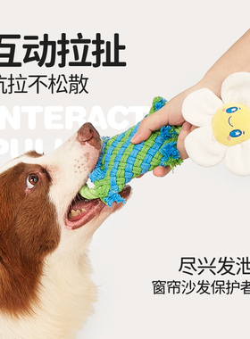 FOFOS两只福狸棉绳编织毛绒狗狗玩具 耐咬成幼犬绳结拔河训练互动