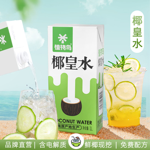 植物岛椰皇水1000ML海南椰子水果汁饮料椰汁美式咖啡生椰水商用