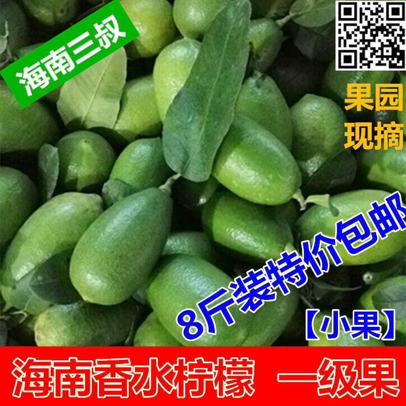 海南新鲜无籽香水柠檬一级果8斤装小果热带时令水果果园现摘包邮