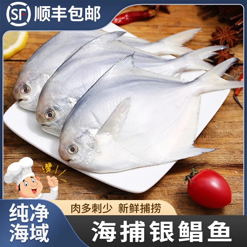 银鲳鱼新鲜冷冻海捕白鲳鱼平鱼深海昌鱼鲜活海鲜水产镜鱼商用整箱_虎窝淘