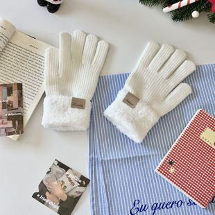 手套女冬天2025新款 可触屏手套 骑行保暖防寒加长加厚女士毛线冬季