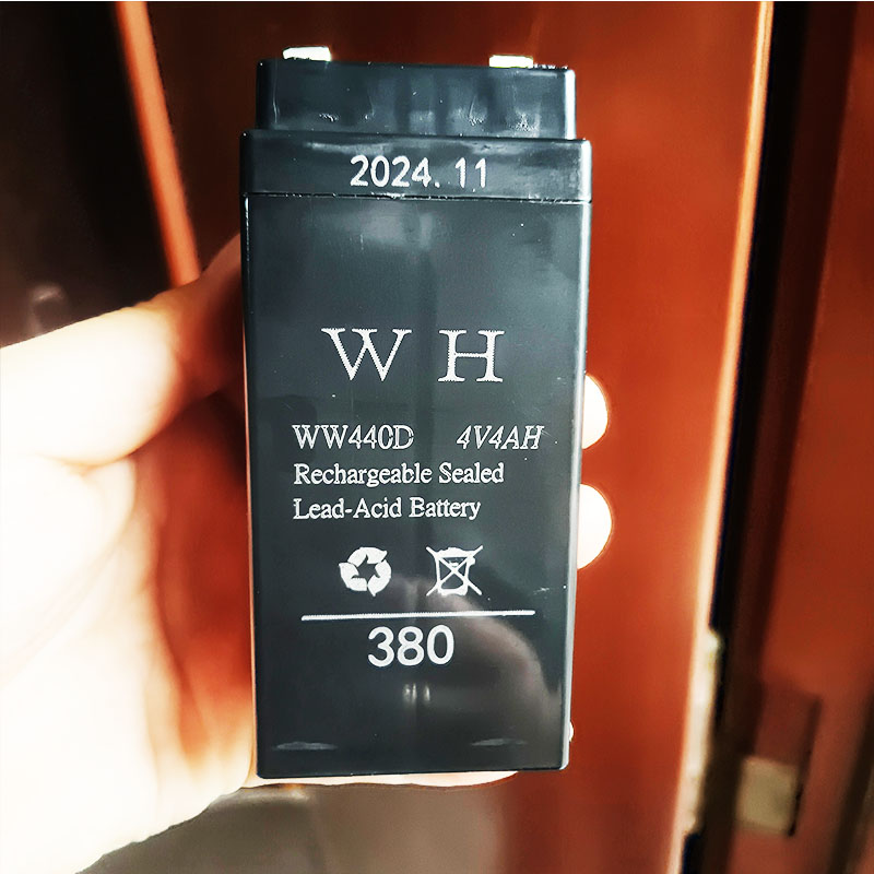 长续航WH440D4V4AH蓄电池电子秤