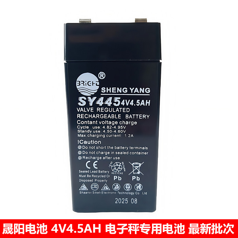 电子秤专用蓄电池SY4454V4.5AH