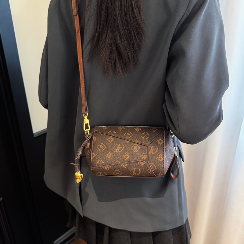 高级感轻奢小众设计2026新款超火爆款时尚印花百搭单肩斜挎包贵气