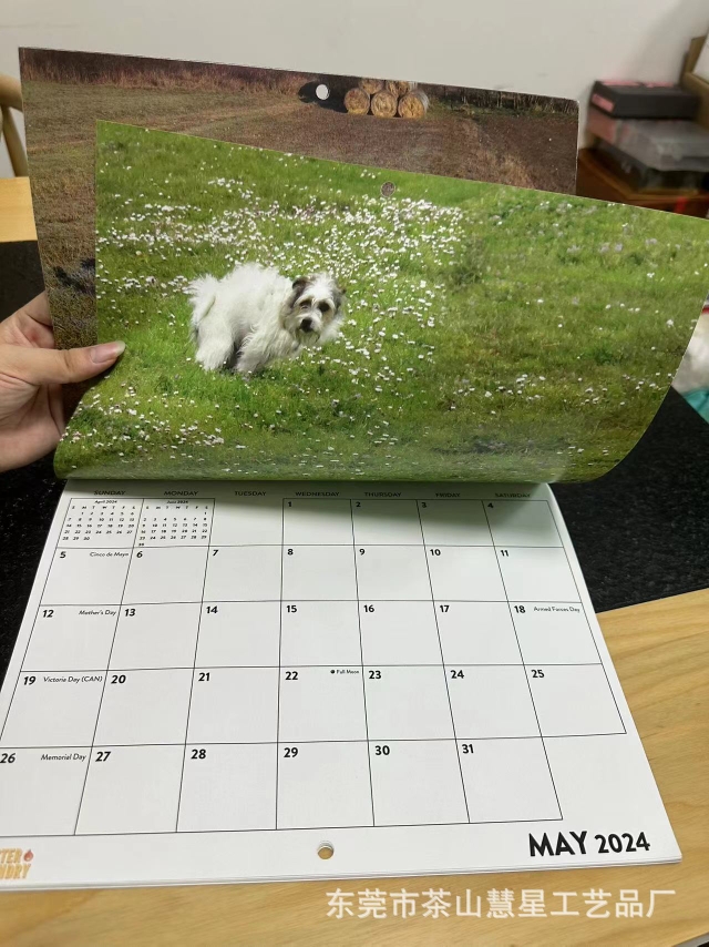 跨境2026年狗狗大便日历 创意狗狗日历Dogs Pooping Calendar