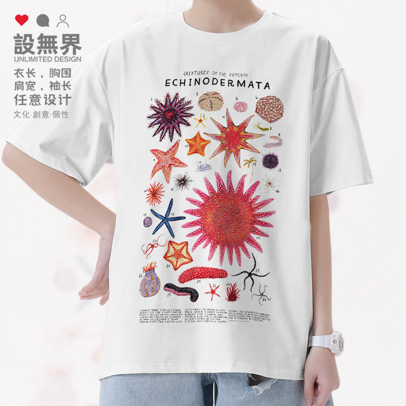 棘皮动物门海星海胆海参动物T恤
