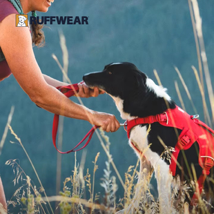 【新品】拉夫威尔汪大师狗狗牵引绳专业可提拉宠物胸背缓重减震