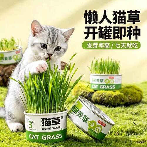 宠物排毛猫草猫草盆栽水懒人猫草罐头培幼猫咪助草化薄毛荷片膏盆