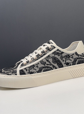 2025春款新款男鞋艺术布面小板鞋男休闲平底鞋小众鞋子男百搭潮鞋