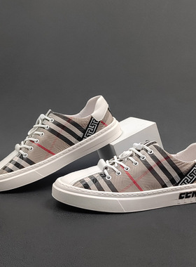 夏季男士透气板鞋男款潮鞋欧洲站男鞋冰丝布鞋一脚蹬懒人鞋休闲鞋