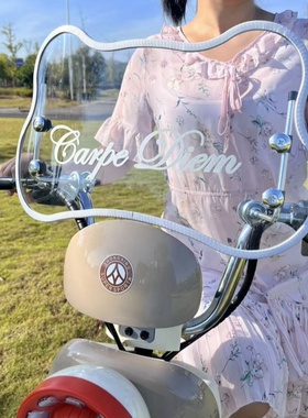 电动车前挡风板适用雅迪Ai玛元宇宙小刀小熊露娜可爱摩登挡风玻璃