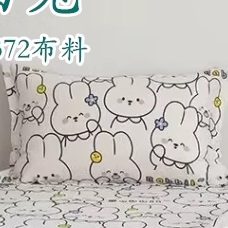 枕套10元一只成人45*74，枕套