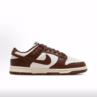 Sail Surfaces 女款 板鞋 低帮 And Brown Dunk Nike