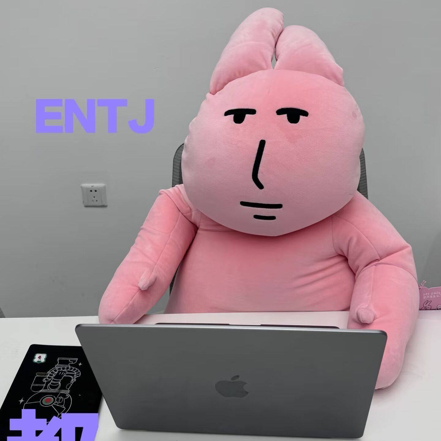 新款粉红兔子毛绒玩具公仔车载陪伴娃娃超软倚靠生日礼物送女朋友,玩具/童车/益智/积木/模型,毛绒/玩偶/公仔/布艺类玩具,淘宝优惠券,粉丝福利购,淘宝优惠卷