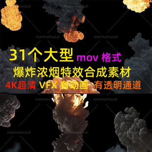 有Alpha透明通道 4K视频素材 31个大型爆炸浓烟特效合成VFX动画