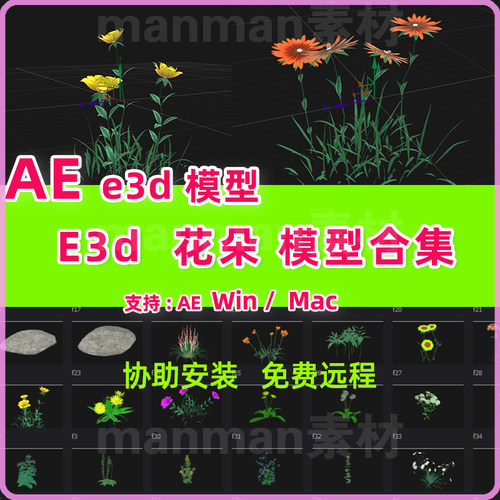 Ae E3D花朵模型包合集各个种类Ae E3D花模型花朵E3D模型包Win Mac