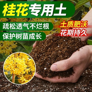 桂花树专用土营养土家用阳台养花专用土室内盆栽桂花树有机种植土
