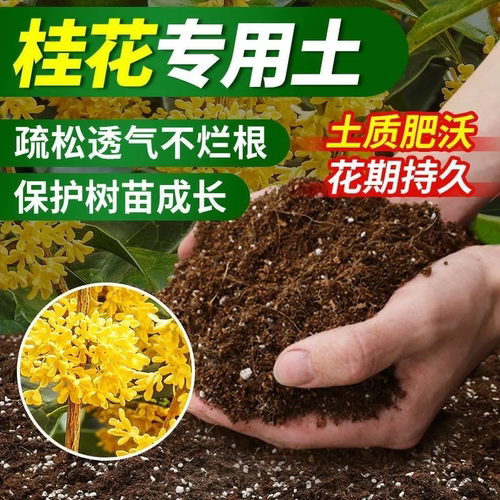 桂花树专用土营养土家用阳台养花专用土室内盆栽桂花树有机种植土