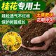 桂花树专用土营养土家用阳台养花专用土室内盆栽桂花树有机种植土